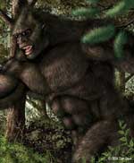 bigfoot sasquatch