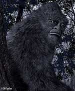 bigfoot sasquatch
