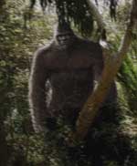 sasquatch artwork