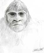 Bigfoot Sasquatch picture