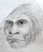 bigfoot photos