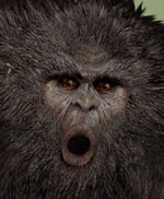 bigfoot sasquatch
