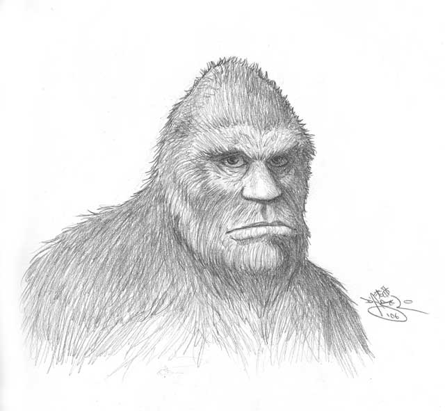 Image result for bigfoot drawings