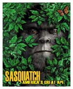 bigfoot sasquatch