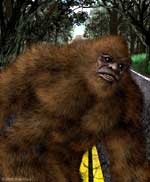 bigfoot sasquatch