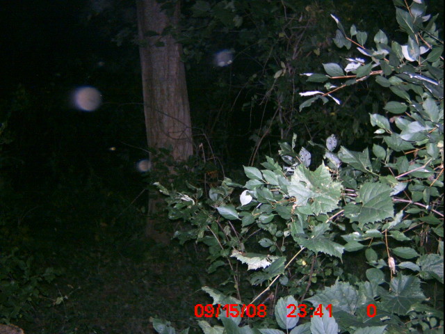 ICAM0018 ICAM0018