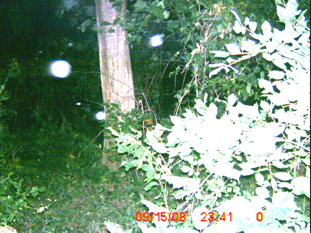 ICAM0018_02 ICAM0018_02