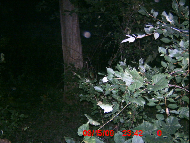 ICAM0019 ICAM0019