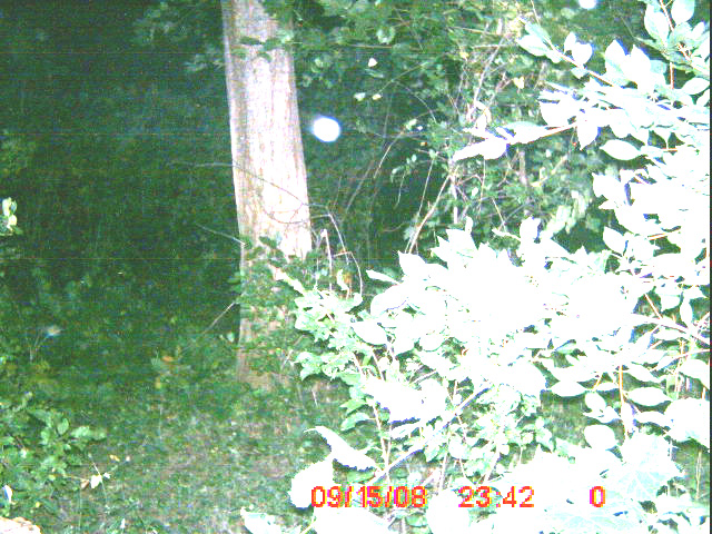 ICAM0019_02 ICAM0019_02