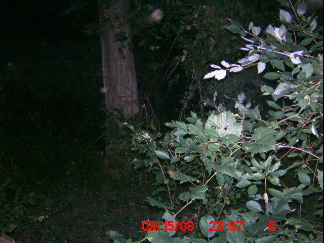 ICAM0023 ICAM0023