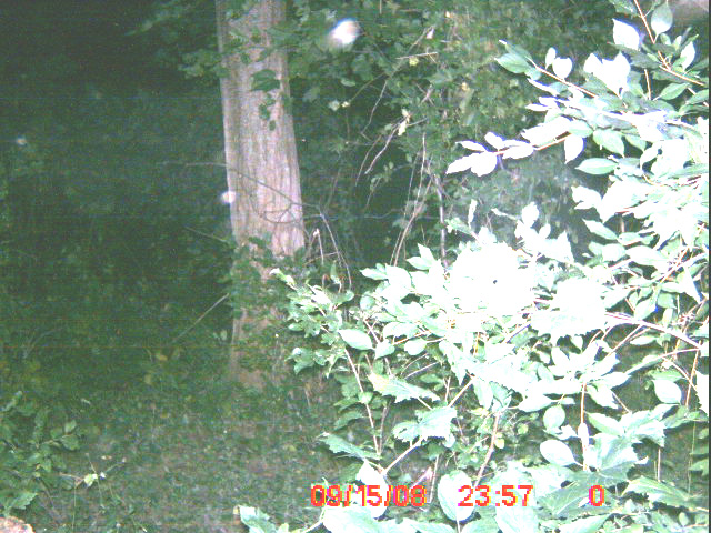 ICAM0023_02 ICAM0023_02