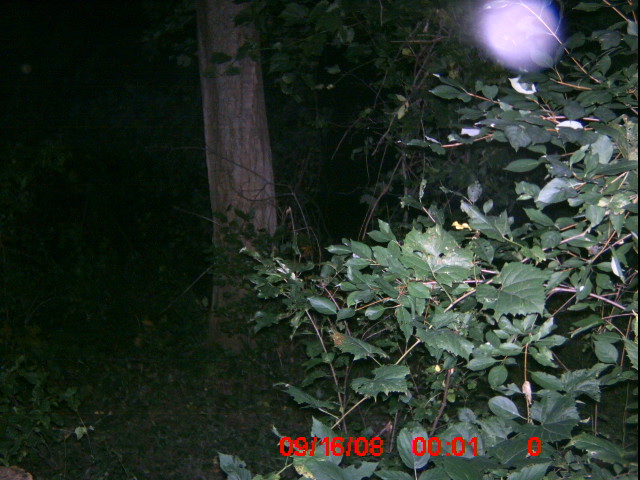 ICAM0024 ICAM0024