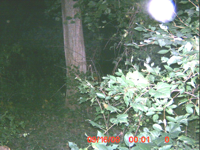 ICAM0024_02 ICAM0024_02