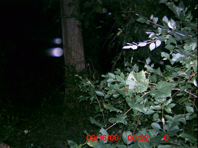ICAM0025 ICAM0025