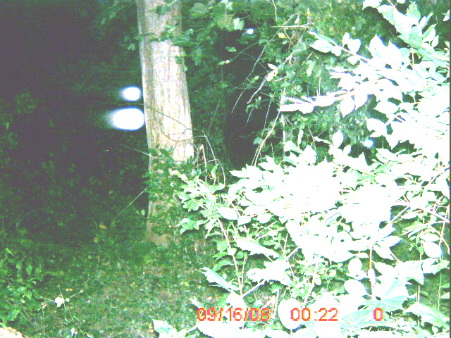 ICAM0025_02 ICAM0025_02