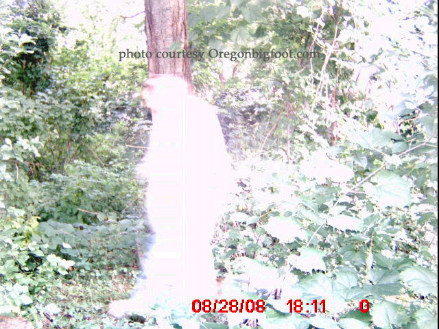 unknown_bright_gamecam unknown_bright_gamecam