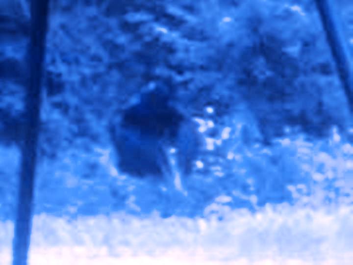 11087052_BG3       blue spectrum