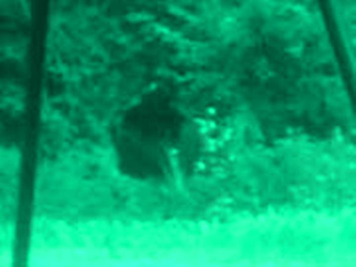 11087052_BG3  green spectrum