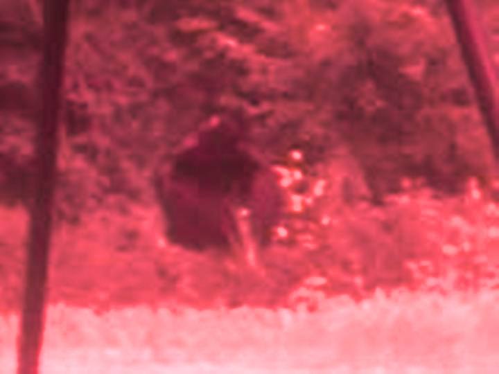 11087052_BG3 red spectrum