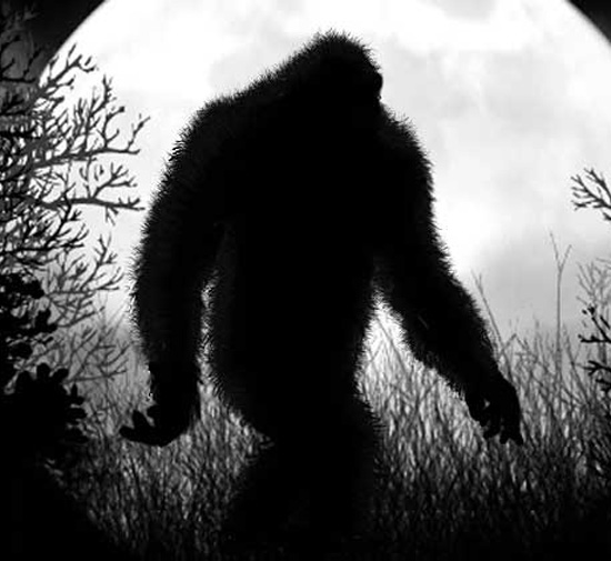 s_davis_Moonlit-Walk s_davis_Moonlit-Walk