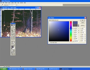 MN_bigfoot_color_analysis