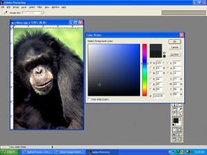 chimp_color_analysis