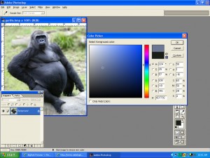gorilla_color_analysis