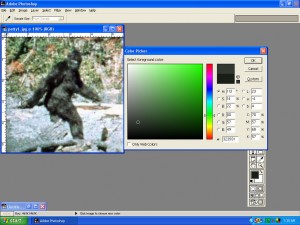 patty_color_analysis