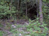 Image008-01