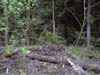 Image009-01