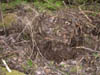 Image010-01