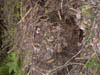 Image013-01