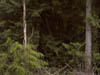 Image014-01