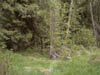 Image017-01