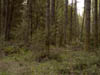 Image018-01