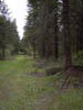 Image019-01