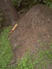 Image020-01
