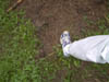 Image021-01