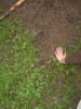 Image022-01