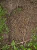 Image023-01