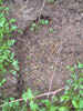 Image024-01