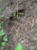 Image025-01