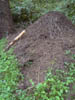 Image026-01