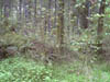 Image027-01
