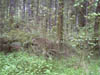 Image028-01