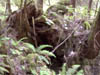 Image030-01