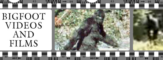 bigfoot video film footage