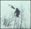 snowwalker bigfoot video