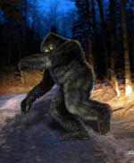 bigfoot sasquatch