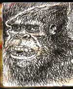 Bigfoot Sasquatch picture